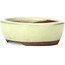 Oval yellow bonsai pot by Seto - 55 x 45 x 17 mm