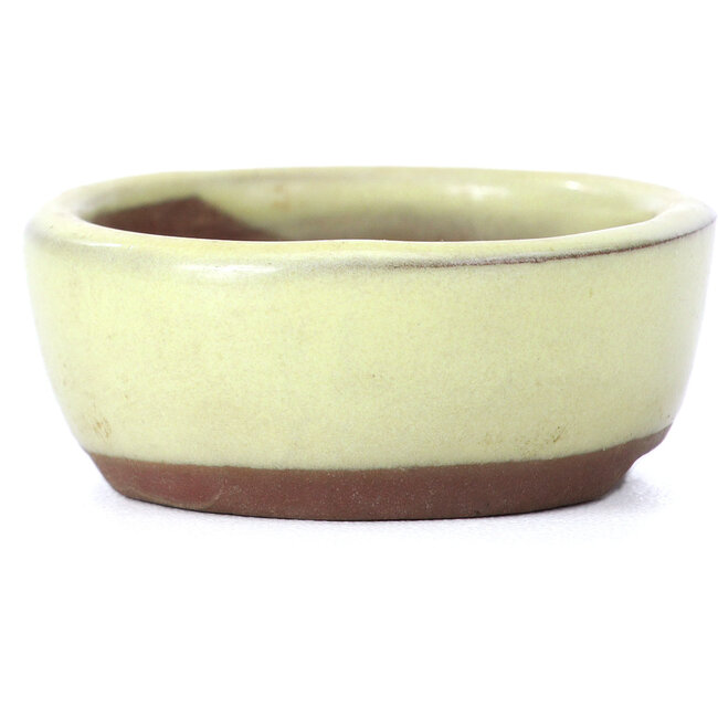 Oval yellow bonsai pot by Seto - 55 x 45 x 17 mm