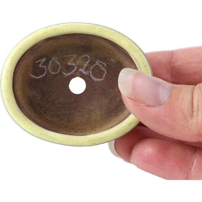 Maceta de bonsái amarilla ovalada de Seto - 55 x 45 x 17 mm