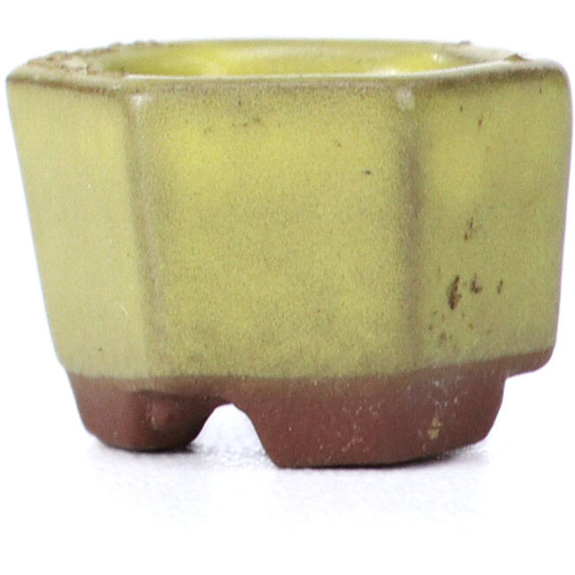Pot à bonsaï hexagonal jaune par Seto - 17 x 15 x 8 mm