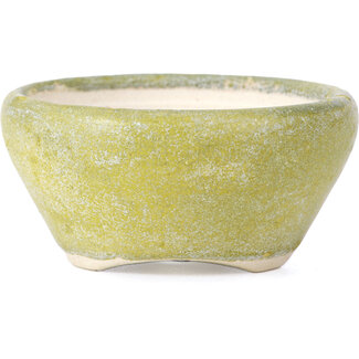 Horie Biko 堀江美功 (Fukushima) Vaso per bonsai rotondo giallo da 65 mm di Bikou, Giappone