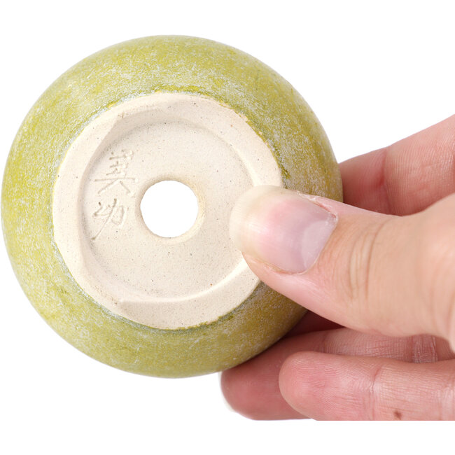 Round yellow bonsai pot by Bikou - 65 x 65 x 30 mm