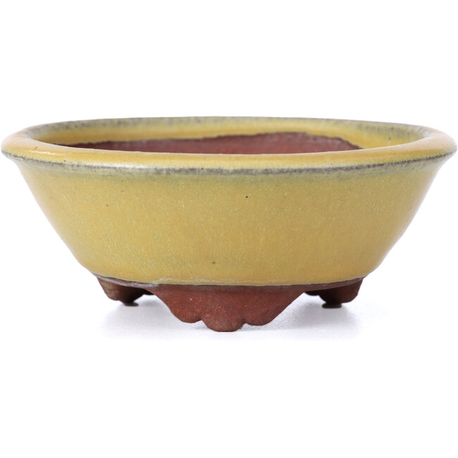 Pot à bonsaï rond jaune par Yozan - 100 x 100 x 40 mm