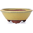 Round yellow bonsai pot by Yozan - 100 x 100 x 40 mm