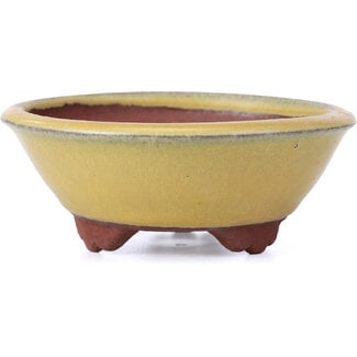  Eimei ( Yozan kiln) 100 mm round yellow bonsai pot by Yozan, Tokoname, Japan