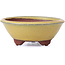 Ronde gele bonsaipot van Yozan - 100 x 100 x 40 mm