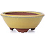 Round yellow bonsai pot by Yozan - 100 x 100 x 40 mm