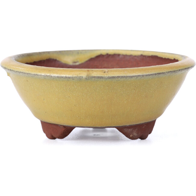 Round yellow bonsai pot by Yozan - 100 x 100 x 40 mm