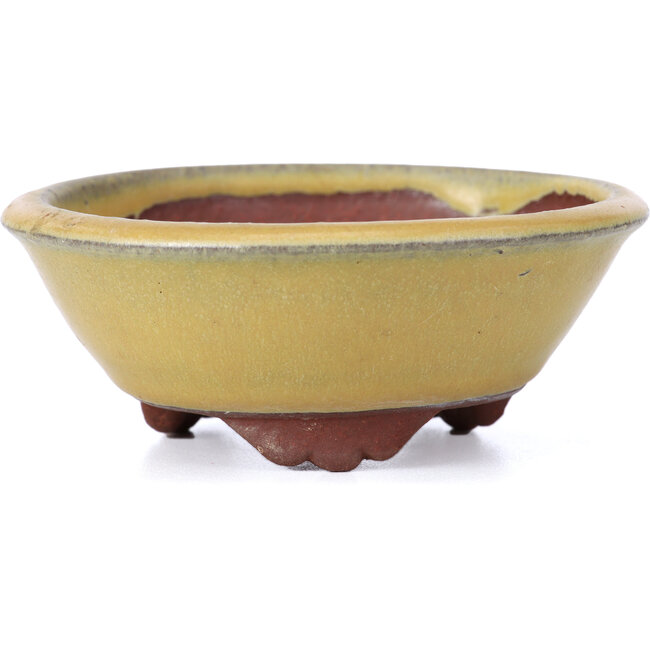 Round yellow bonsai pot by Yozan - 100 x 100 x 40 mm