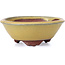 Round yellow bonsai pot by Yozan - 100 x 100 x 40 mm