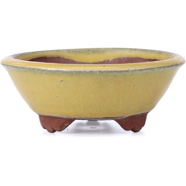 Vaso per bonsai rotondo giallo di Yozan - 100 x 100 x 40 mm