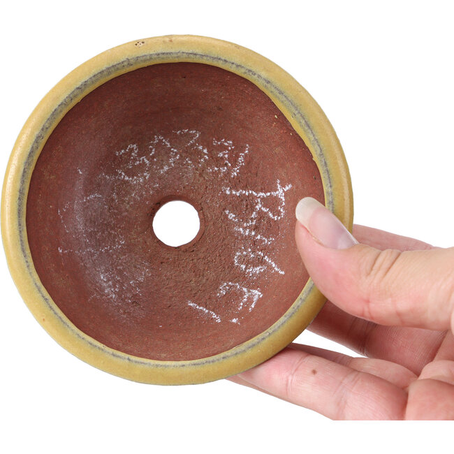 Round yellow bonsai pot by Yozan - 100 x 100 x 40 mm