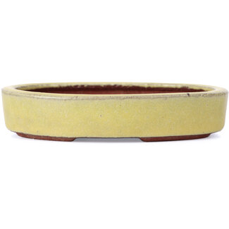 Eimei ( Yozan kiln) 120 mm oval yellow bonsai pot by Yozan, Tokoname, Japan