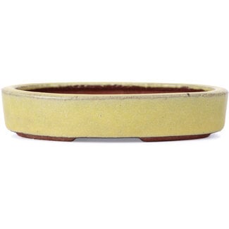  Eimei ( Yozan kiln) 120 mm oval yellow bonsai pot by Yozan, Tokoname, Japan