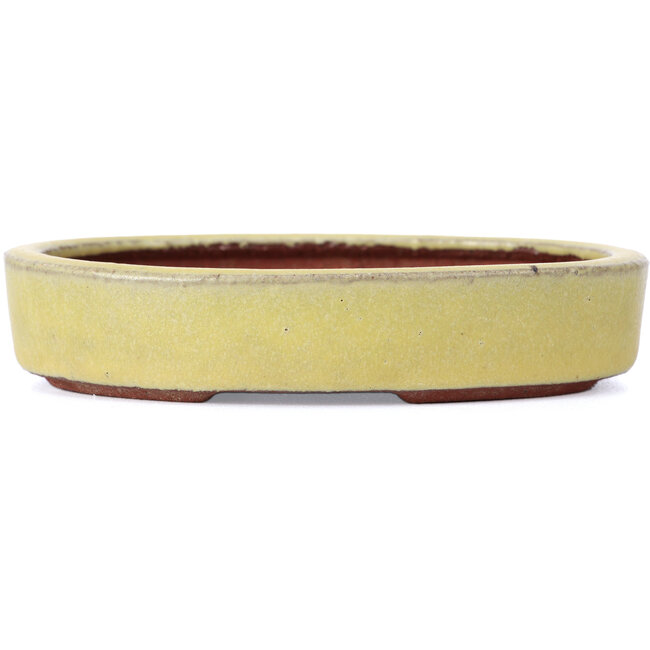 Oval yellow bonsai pot by Yozan - 120 x 85 x 25 mm