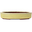 Pot à bonsaï jaune ovale par Yozan - 120 x 85 x 25 mm