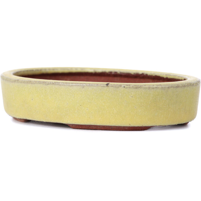 Maceta de bonsái amarilla ovalada de Yozan - 120 x 85 x 25 mm