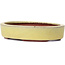 Pot à bonsaï jaune ovale par Yozan - 120 x 85 x 25 mm