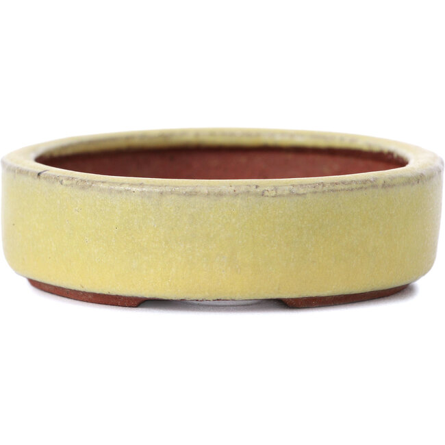 Maceta de bonsái amarilla ovalada de Yozan - 120 x 85 x 25 mm