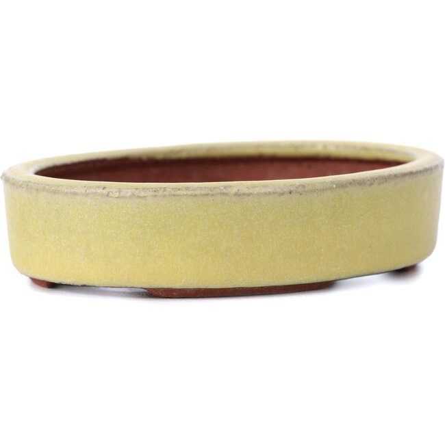 Oval yellow bonsai pot by Yozan - 120 x 85 x 25 mm