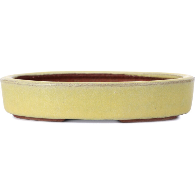 Pot à bonsaï jaune ovale par Yozan - 120 x 85 x 25 mm