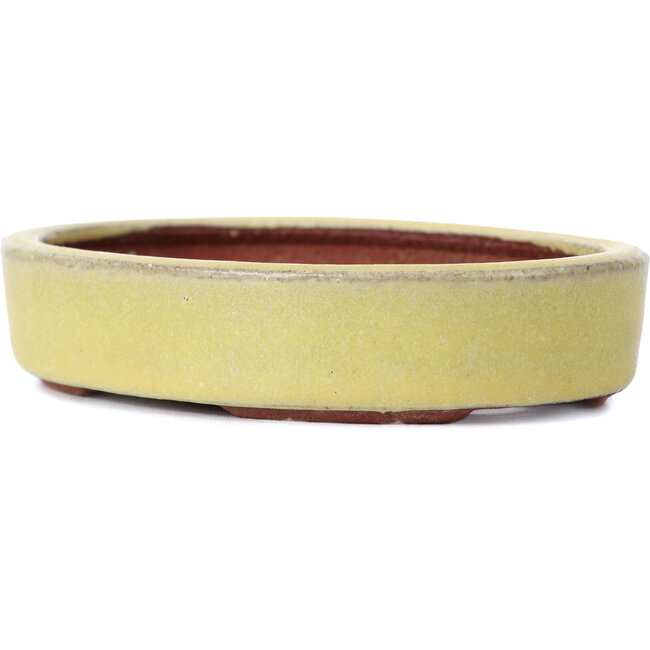 Ovale gelbe Bonsaischale von Yozan - 120 x 85 x 25 mm
