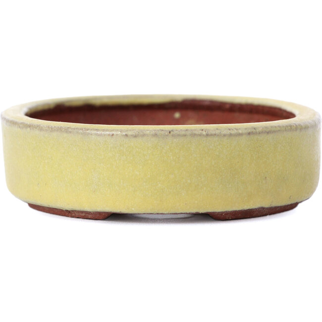 Ovale gelbe Bonsaischale von Yozan - 120 x 85 x 25 mm