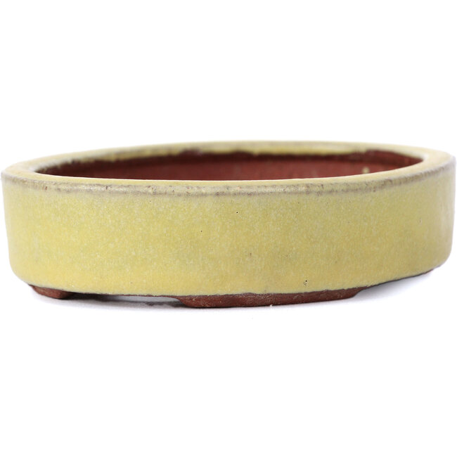 Pot à bonsaï jaune ovale par Yozan - 120 x 85 x 25 mm