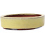 Oval yellow bonsai pot by Yozan - 120 x 85 x 25 mm