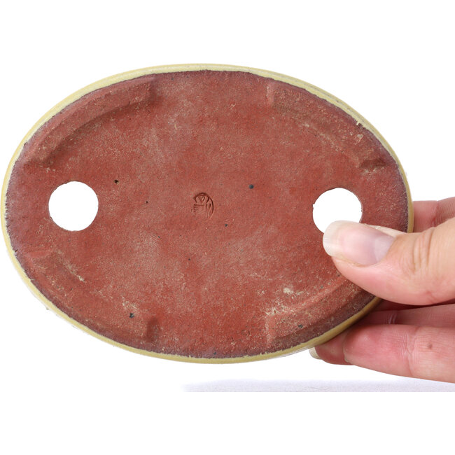 Pot à bonsaï jaune ovale par Yozan - 120 x 85 x 25 mm