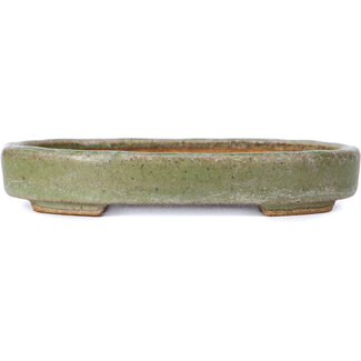  Hattori Tomoyuki 140 mm oval green bonsai pot by Hattori, Tokoname, Japan