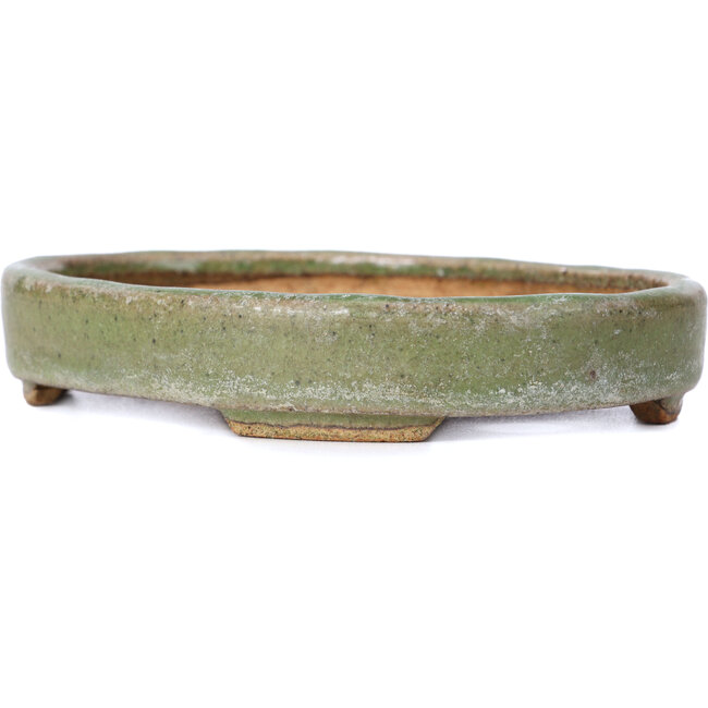 Vaso per bonsai ovale verde di Hattori - 140 x 110 x 25 mm