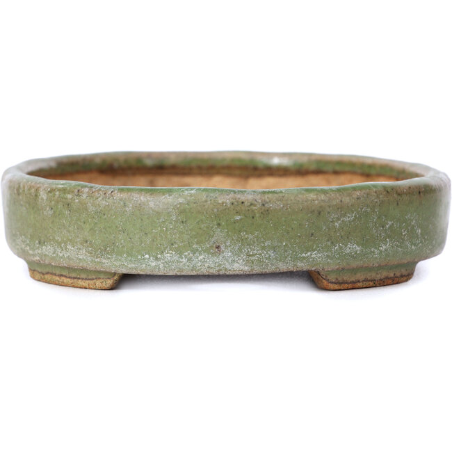 Vaso per bonsai ovale verde di Hattori - 140 x 110 x 25 mm