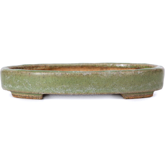 Maceta de bonsái verde ovalada de Hattori - 140 x 110 x 25 mm