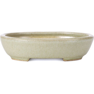  Other Tokoname bonsai pot makers 120 mm oval green pot from Tokoname, Japan