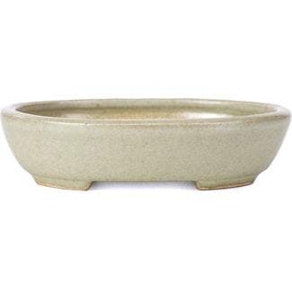  Other Tokoname bonsai pot makers Vaso verde ovale da 120 mm di Tokoname, Giappone