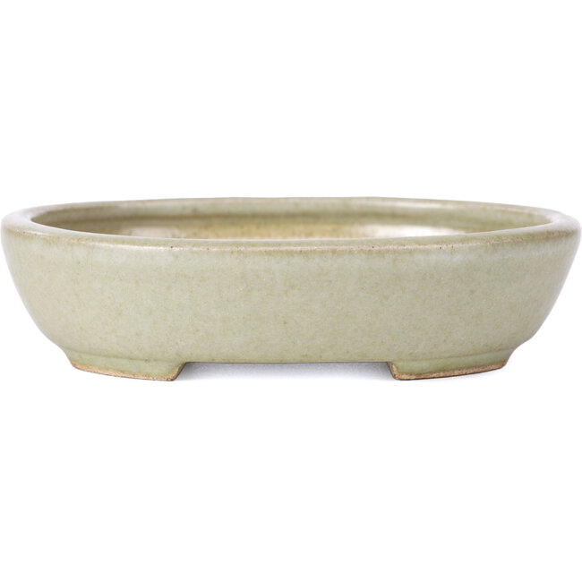 Pot à bonsaï ovale vert - 120 x 95 x 30 mm