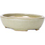 Oval green bonsai pot - 120 x 95 x 30 mm