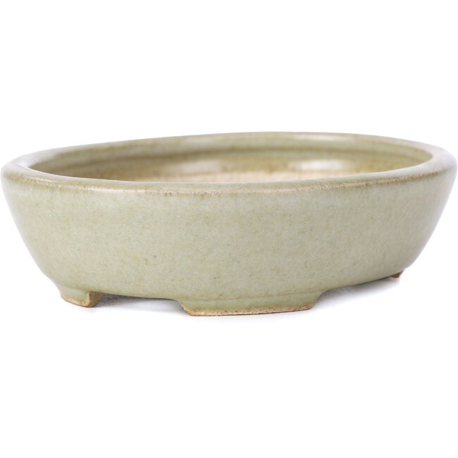 Vaso bonsai verde ovale - 120 x 95 x 30 mm