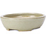 Pot à bonsaï ovale vert - 120 x 95 x 30 mm