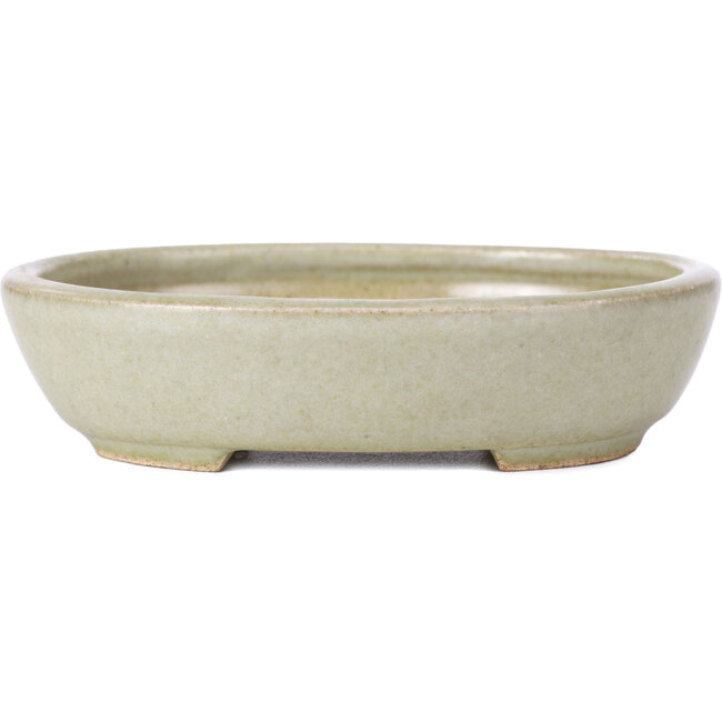 Pot à bonsaï ovale vert - 120 x 95 x 30 mm