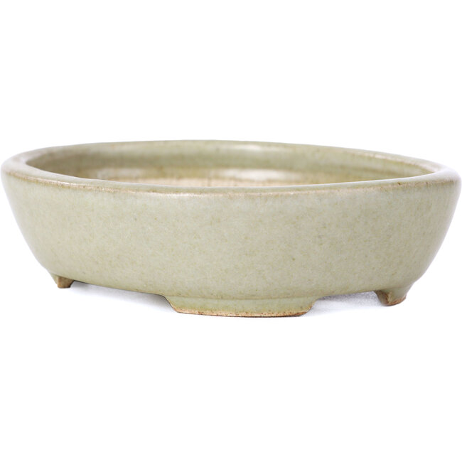 Vaso bonsai verde ovale - 120 x 95 x 30 mm