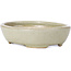 Oval green bonsai pot - 120 x 95 x 30 mm