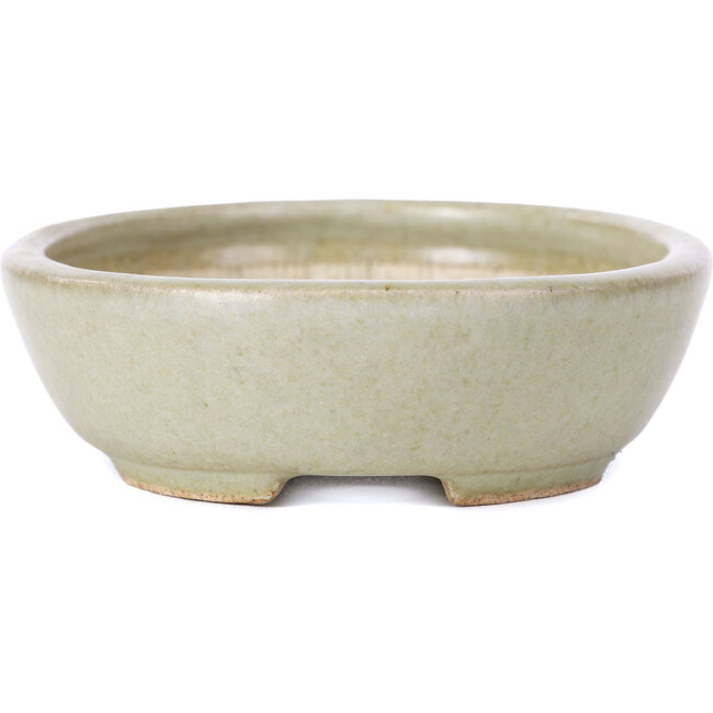 Maceta de bonsái verde ovalada - 120 x 95 x 30 mm