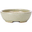Pot à bonsaï ovale vert - 120 x 95 x 30 mm