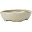 Pot à bonsaï ovale vert - 120 x 95 x 30 mm