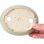 Pot à bonsaï ovale vert - 120 x 95 x 30 mm