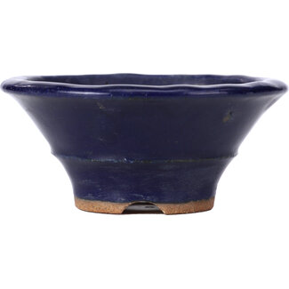  Hattori Tomoyuki 100 mm round blue bonsai pot by Hattori, Tokoname, Japan