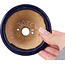 Pot à bonsaï rond bleu par Hattori - 100 x 100 x 45 mm