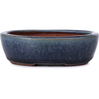  Eimei ( Yozan kiln) Vaso per bonsai blu ovale da 96 mm di Yozan, Tokoname, Giappone